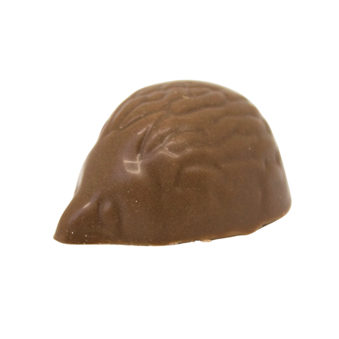 Hedgehog (Hazelnut Praline)