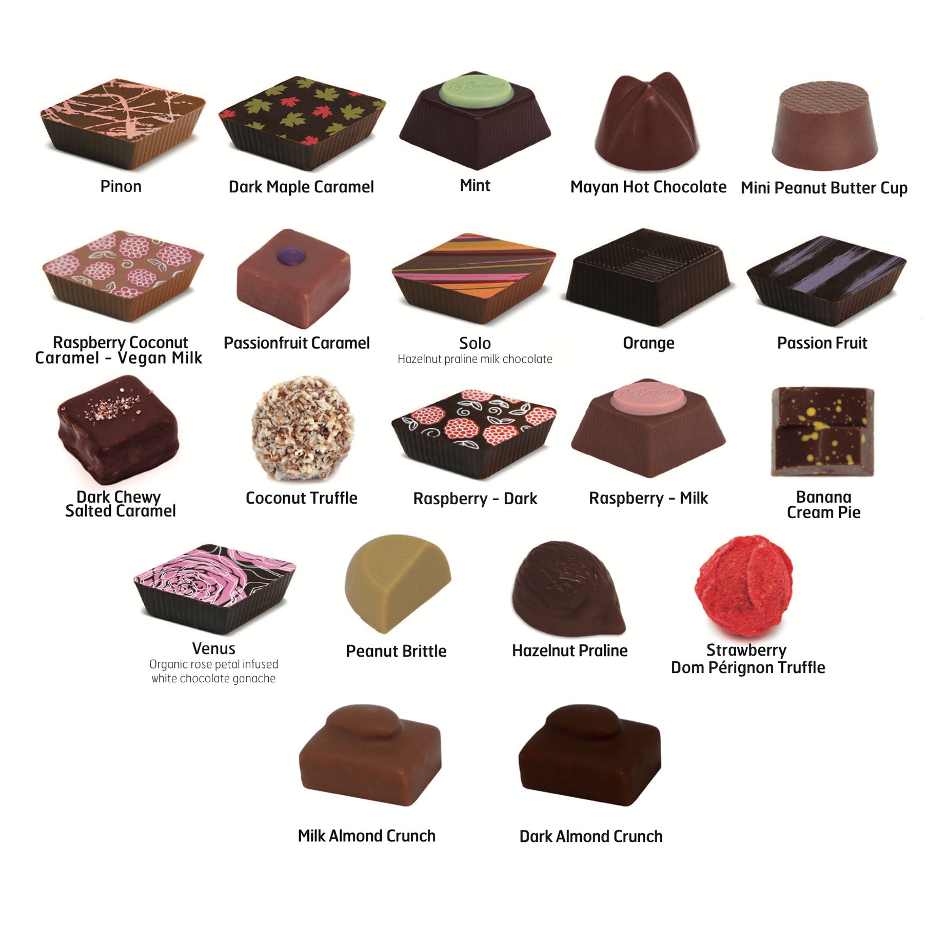 Buy Online 72 Piece Assorted Chocolate – Master Chocolat